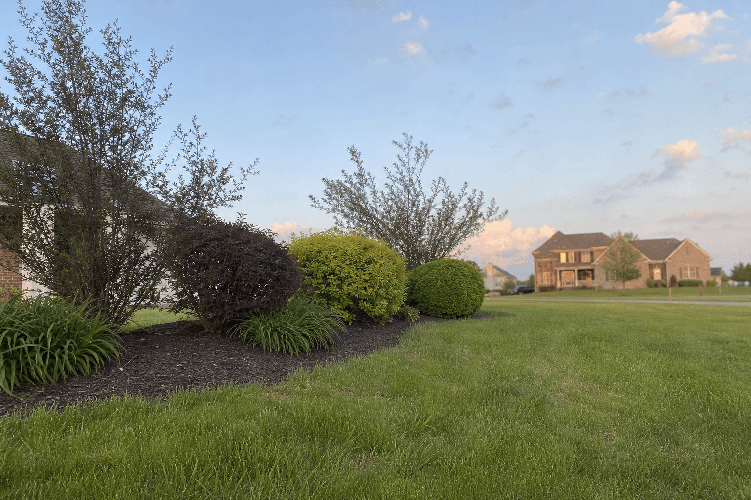 Professional landscaping in Lexington, KY