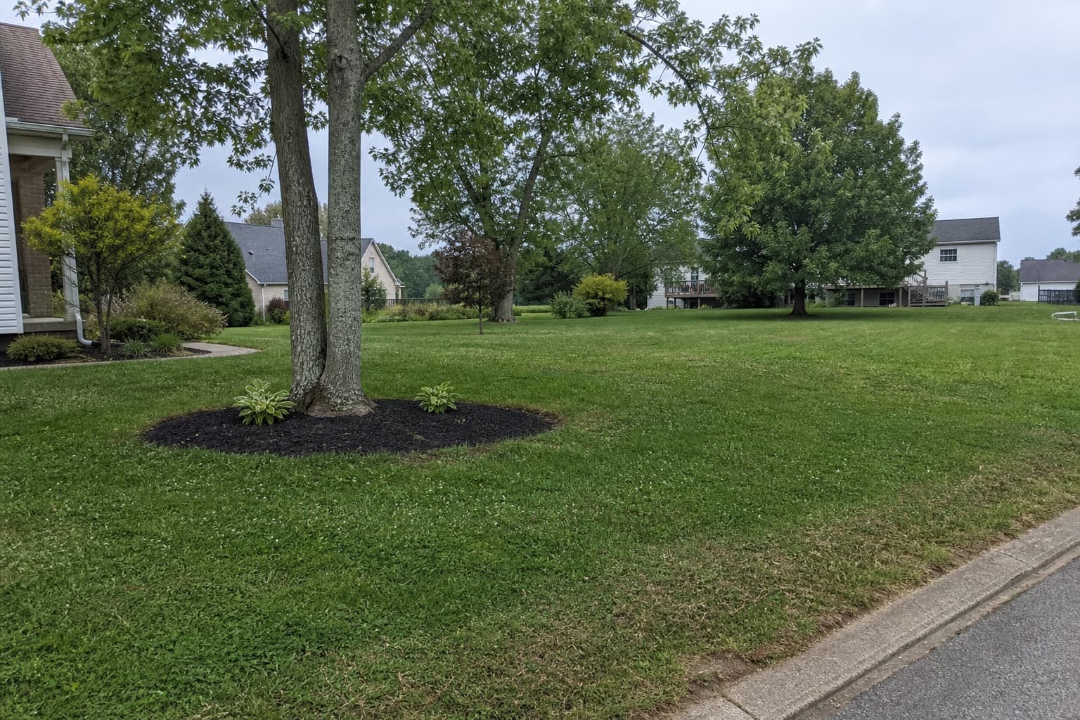 Landscaping in Winchester, KY