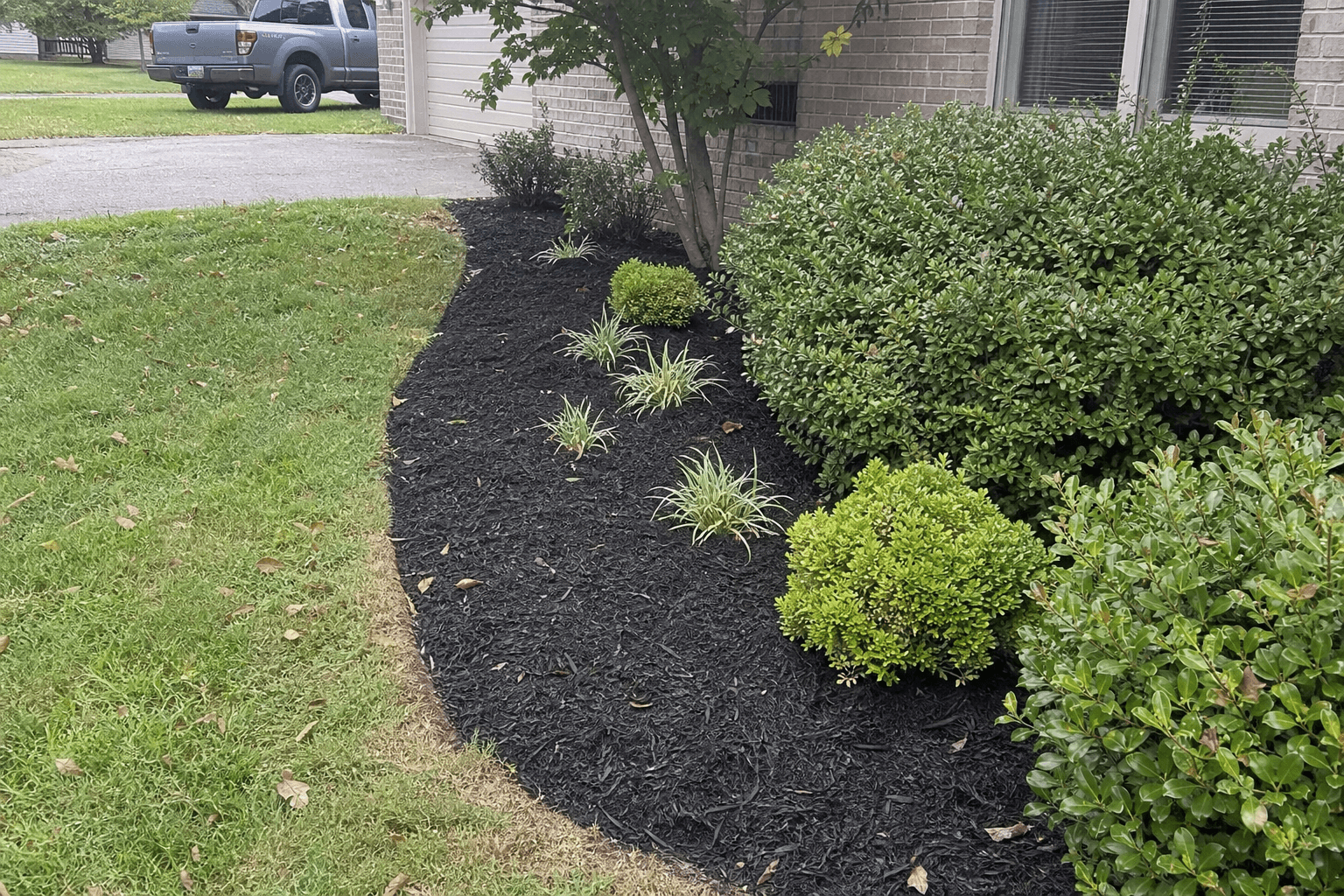 Lawn maintenance — Lexington Landscaping Co.