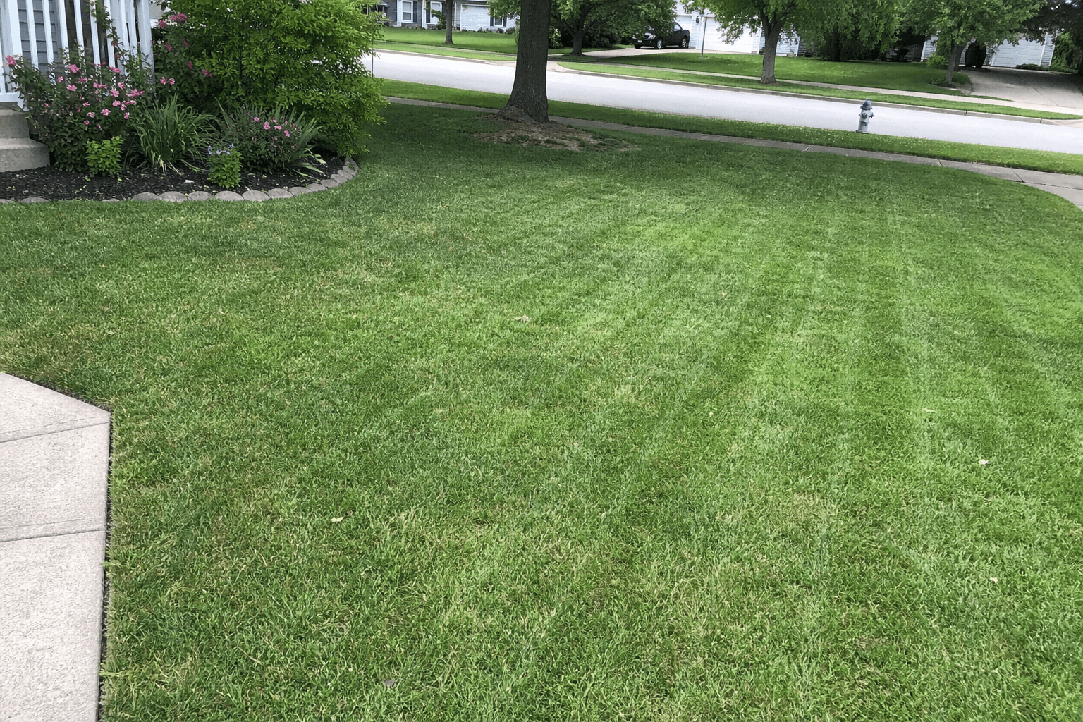 Professional striped lawn — Lexington Landscaping Co.