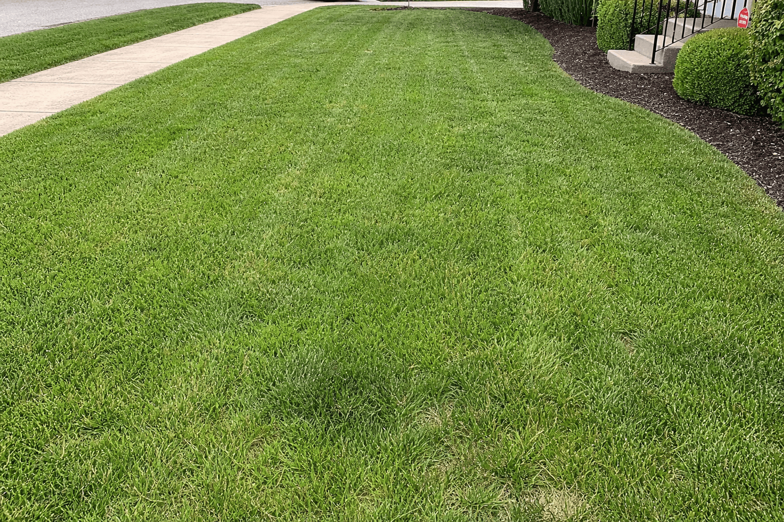 Professional lawn care and mowing service in Lexington, Kentucky